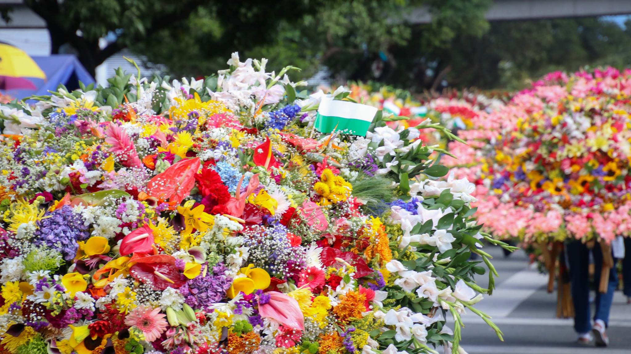 Feria de las Flores / Medellín / Colombia