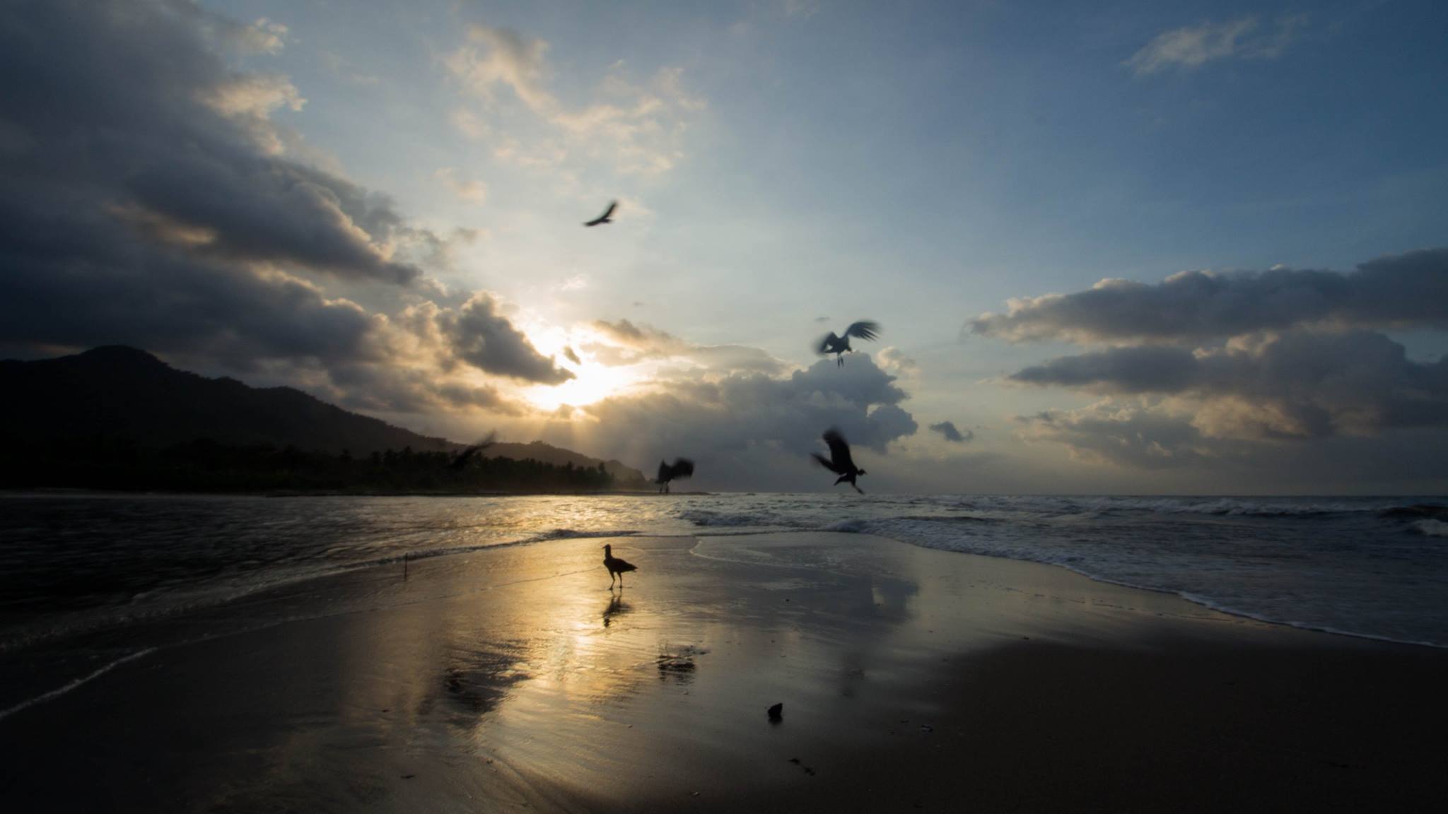 Palomino, Colombia